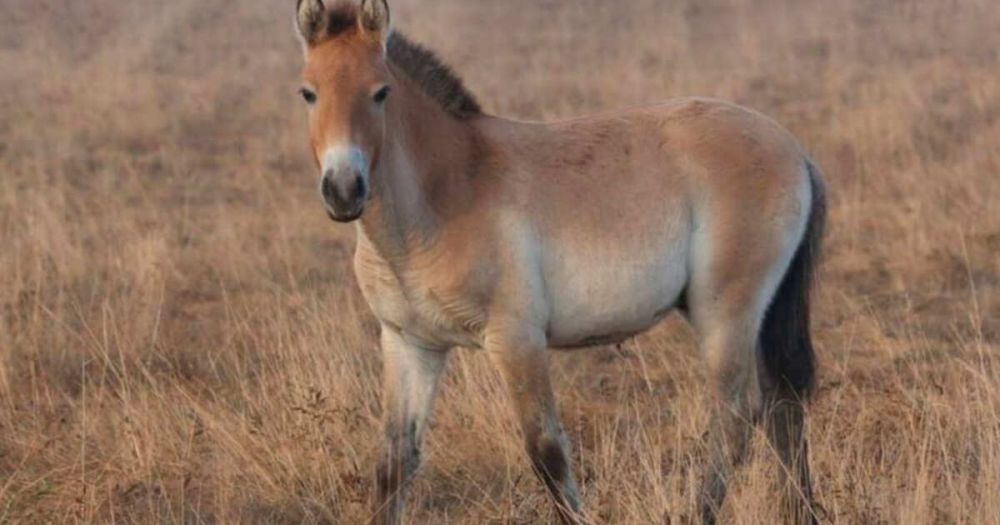 �������� ������� ������� � ����������� � ���������� �������