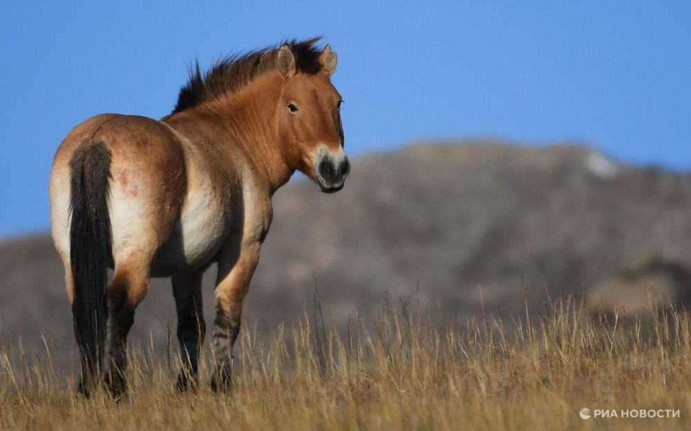 ��������� ������� � ����������� "�������-����" ����� ������ �������������