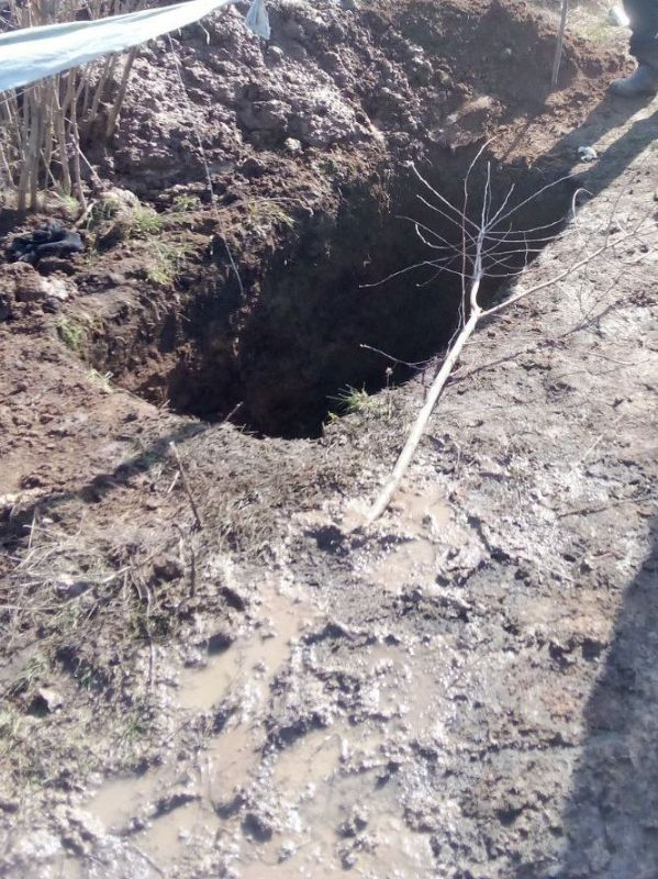 �������� - ����������������� ������ � ���������� ������