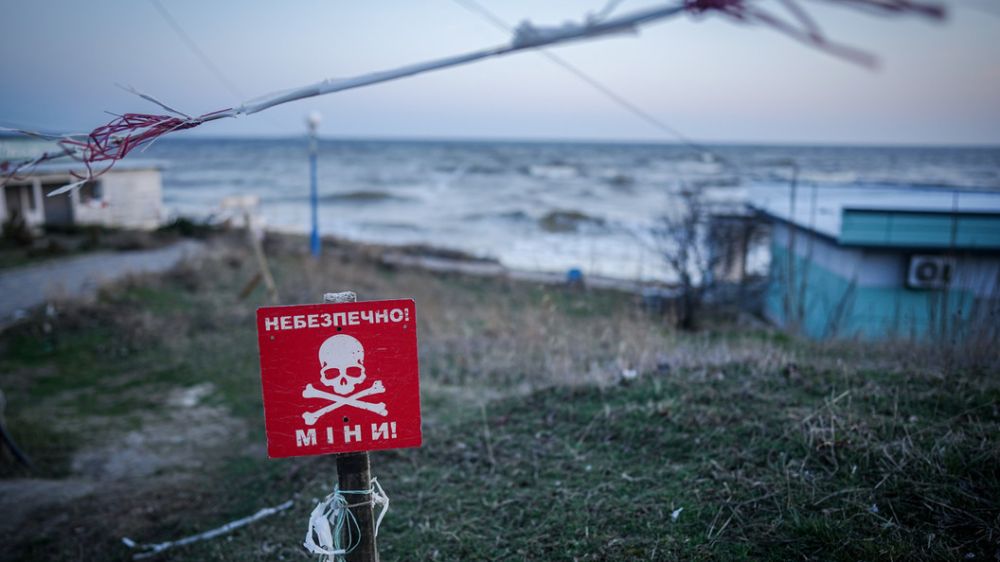 ������ ����� "�������� �� �����": ������� ������ �� ������������ ������ - ������ �����