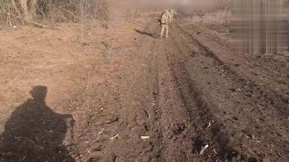 �������� ������ �� ������ �������� �� ������ ����������� ������ � ���� 3-� ��������� ������� � ������ �.�. ������� �� ���������� �����������