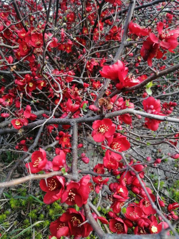 � ������ �����, �����������!