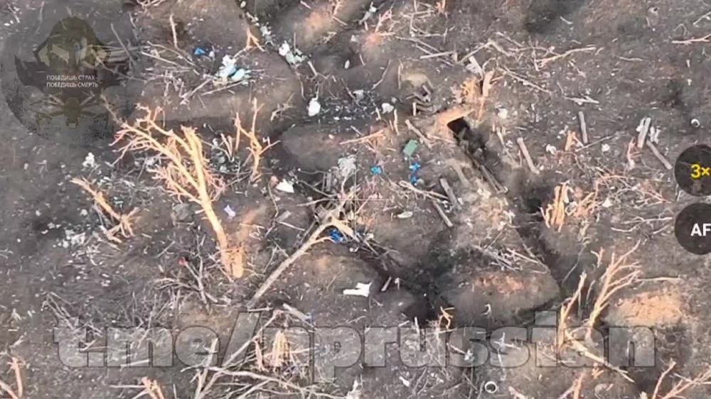 ����������� ������ ����� "���������"