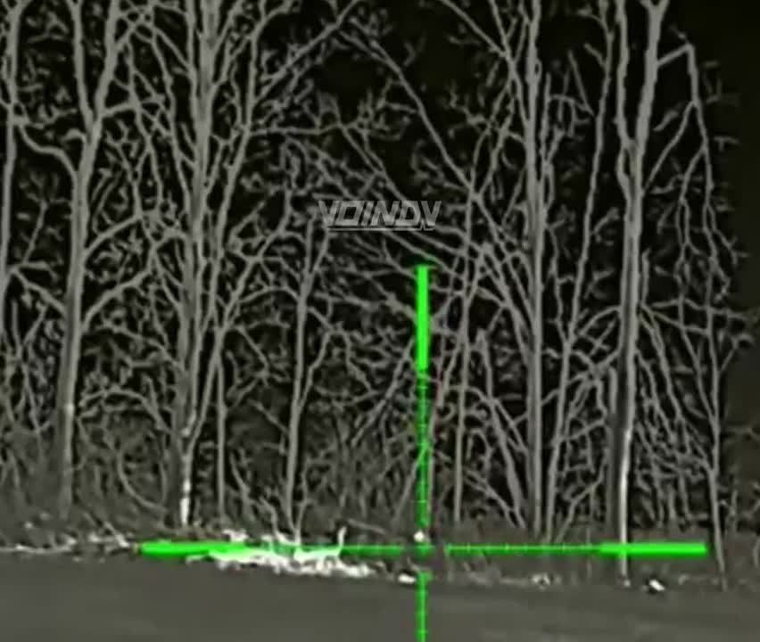 ���� �������� 5 �������� ������� 36 ����� "��������� ����" ����������� ����������