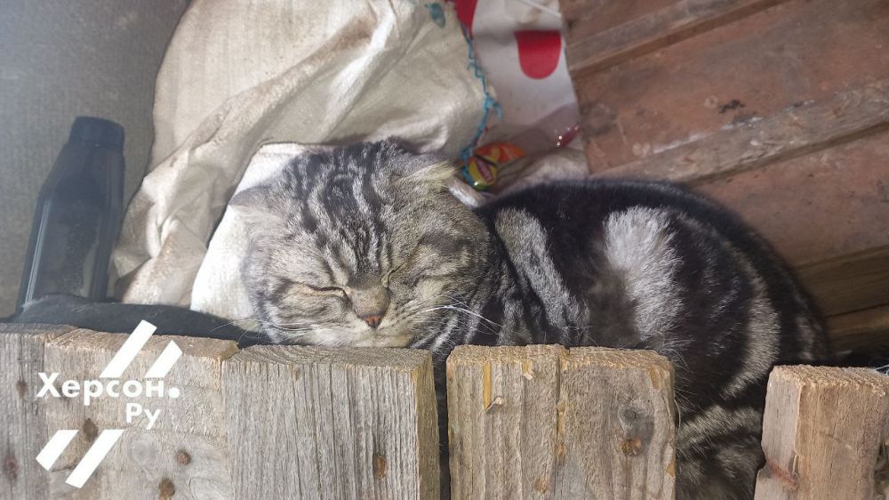 ���� ���� �� ������, ���� ������� �������� ����� ������ ������)))