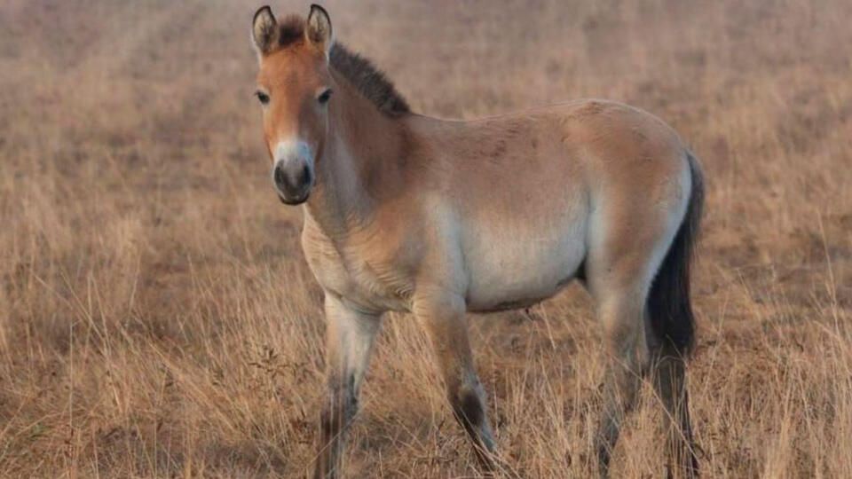 ���������� �������: �������� ������� ������� � ����������� "�������-����" � ���������� ������� � �� ����� ������ �������������