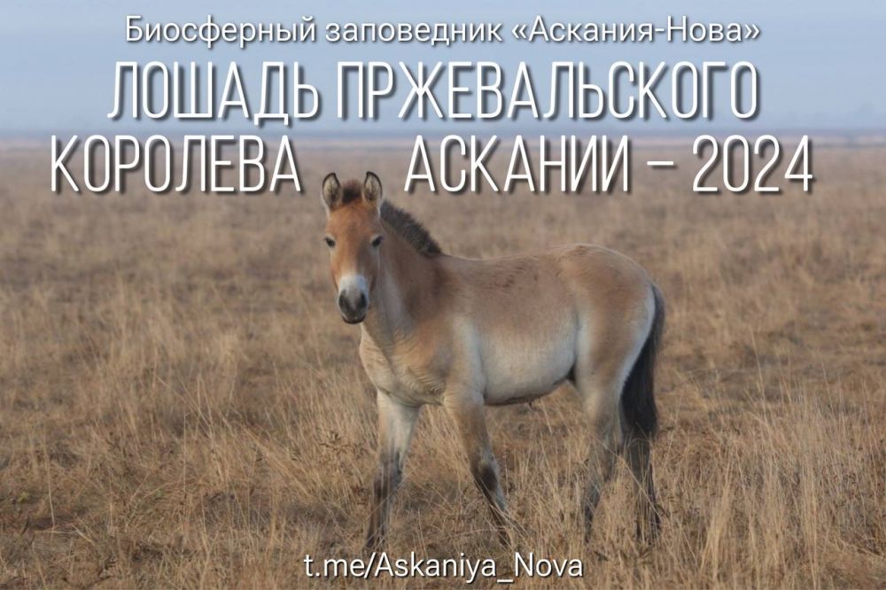 � ���������� ����������� ������� ��������� ������� -2024�