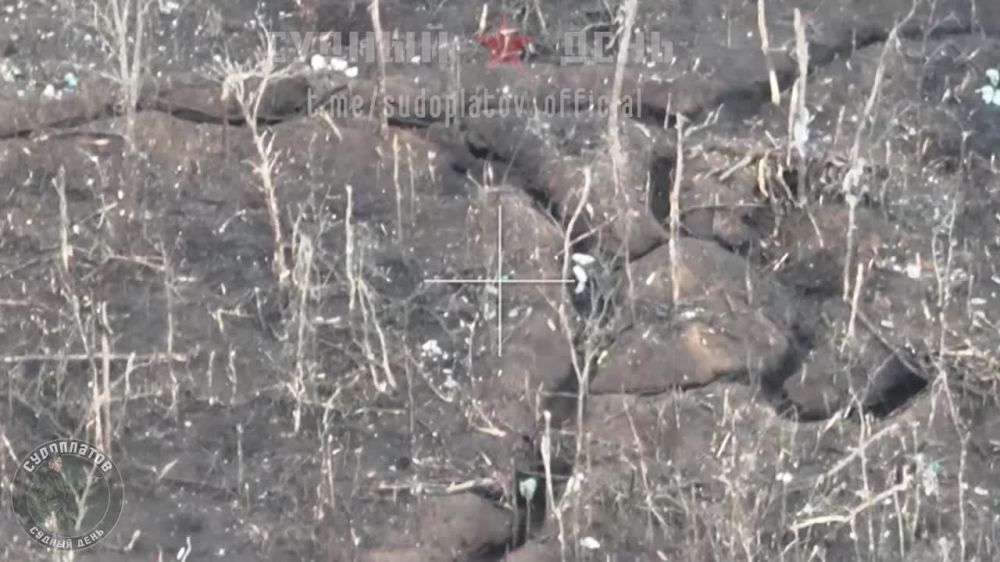 ����� ����� ������ FPV- ������� �� �� �� �������� ������������