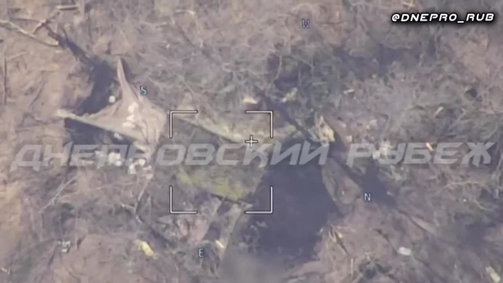 ����������� ����� "�����". ���������� �����������. ������ ����� ������