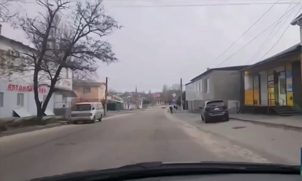 ������ �������. �����.. ��������� �� ������.��