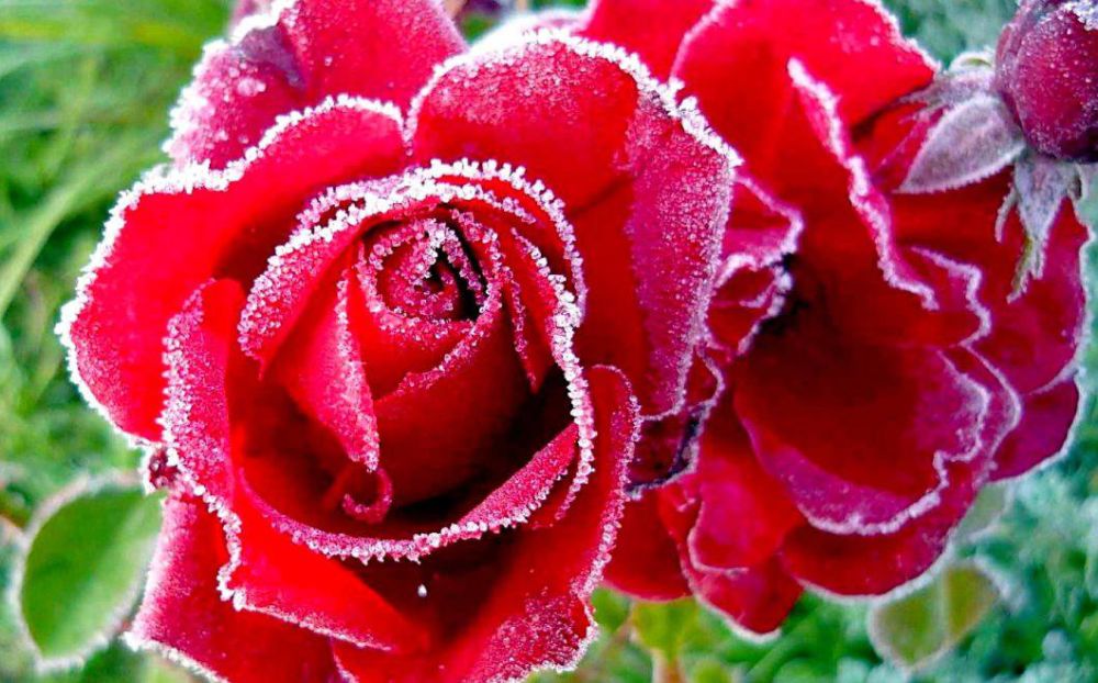 ��������� �����: � ������������� ������� ���� 8 �����!