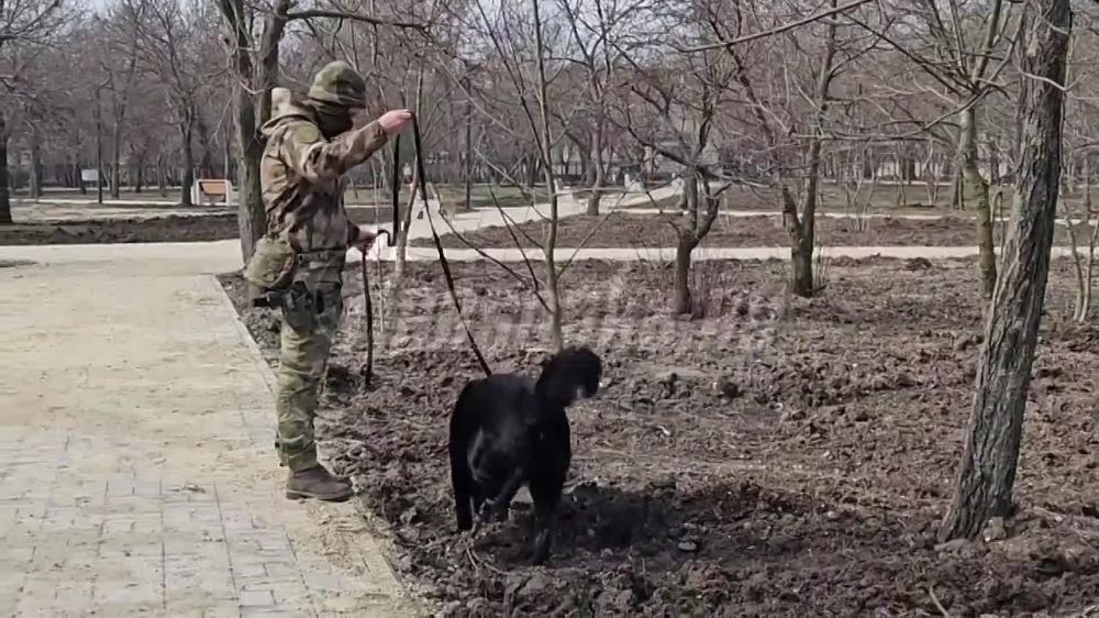 ������� � ��� ���, �� ��� ���������� � �������, �������� � ���������� �������, ���������� ��� ��������� ������ � ��������