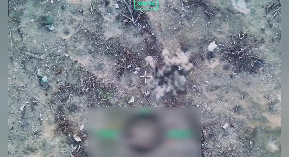 ���������� �����������. ������ �� ����� ���� ���������� ������ ���������� � ������� ��������������