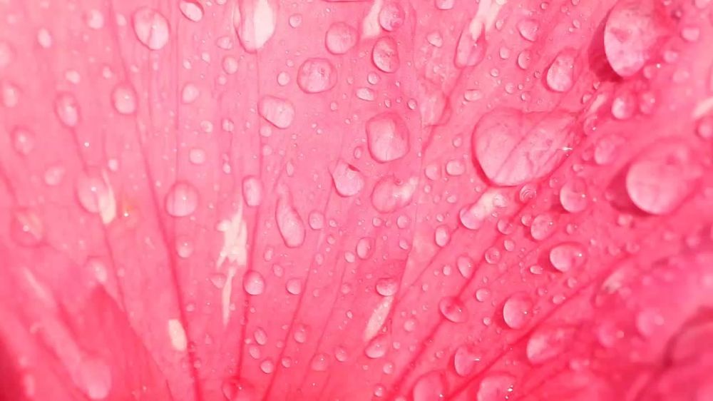 ����� �������, ��������� ��� ����������� ��� � 8 �����!