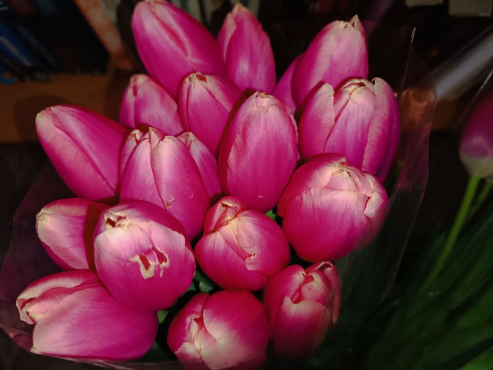 �������� ��������� ��������� � �������������� �������� ��� ����� ������������� �� ������� ����� �������� ���������� ����� ������� � ��������� ������!