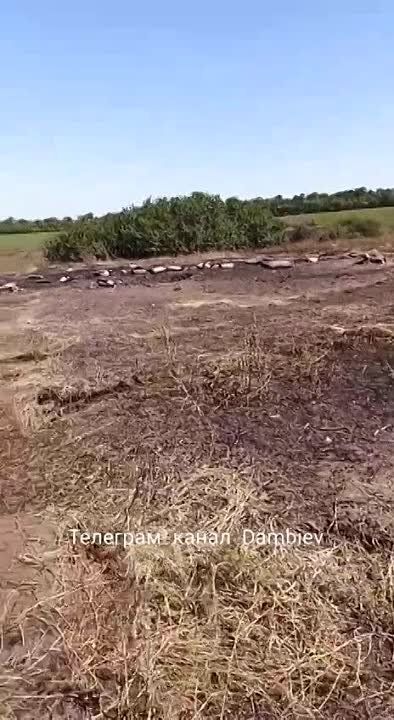 ���������� 203-�� ���������� ����� ������� �������� 2�7 ������ ����� �� ���� � ���� ��������������� ������ � ����������� �������