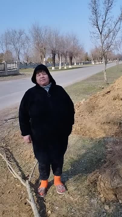 ������ ������� ������� � ���������� ������� �������������� �������� ���� ���������� �������� � 8 �����