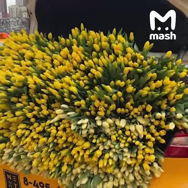 ����� ���������� ������������ � ������������� ������� ���� � �� ��������� ����������� ����������