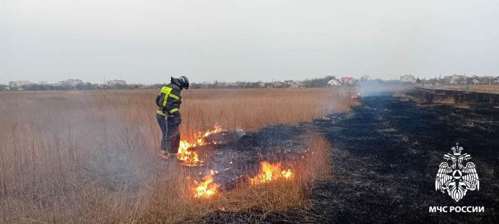 �� ��������� ����� ���������� ��� ���������� ������� ���������� 55 ���������