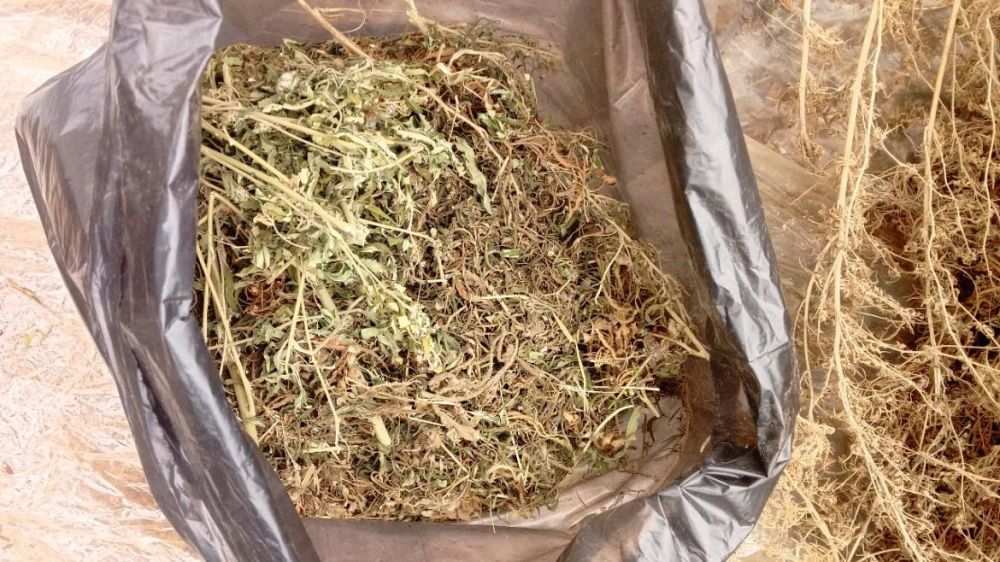 ����� 10 �� ������� ������ ����������� � ������ ����������