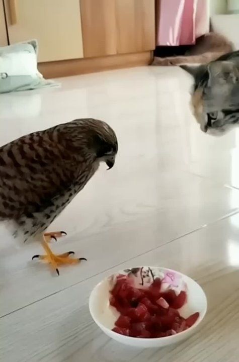 �����������, ���������, ����������, �... � �����!