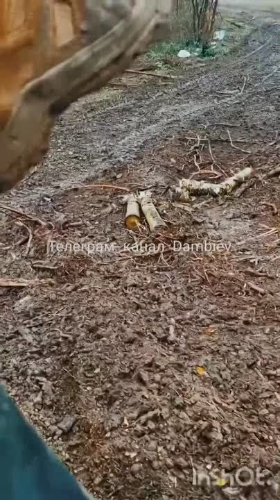 ������������� �� ���������� ����������� ������� ������������ ���������� ������������