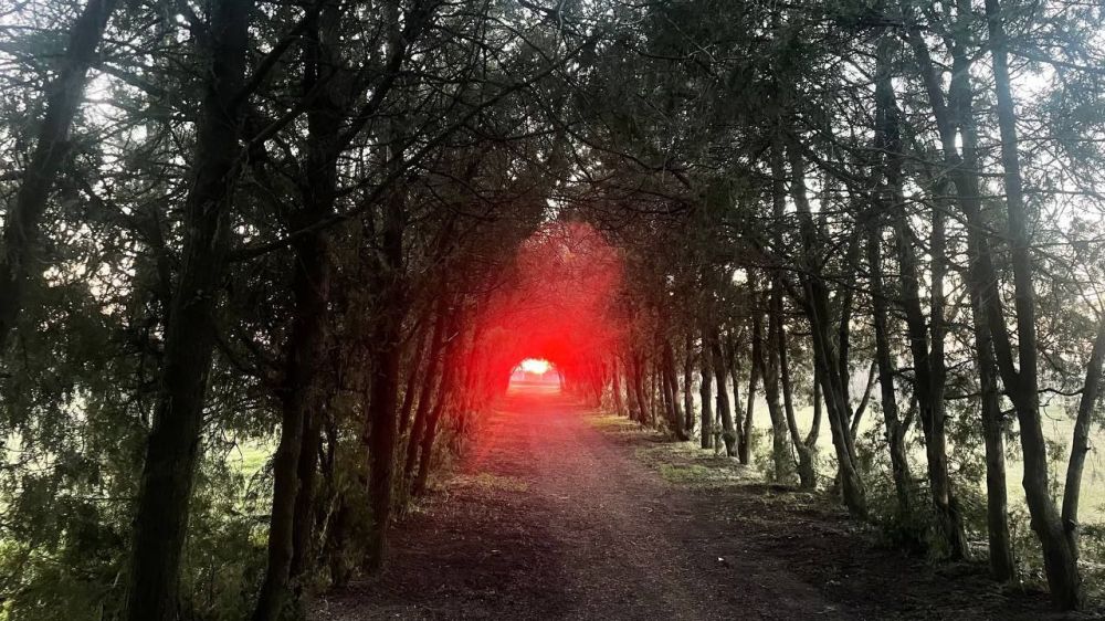 ����� � ��̨������� ��������������