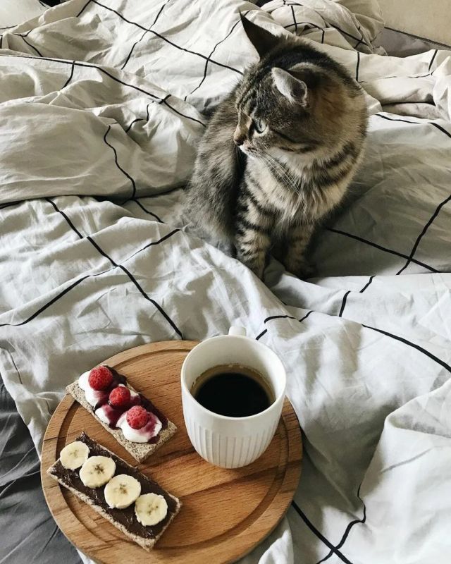 ������ ����. ������� � ���� � �� ������ ������ ���� � ������� ����� ������ �� ��������. ��� �������. ����������� �� 0 ����� �� +10 ���