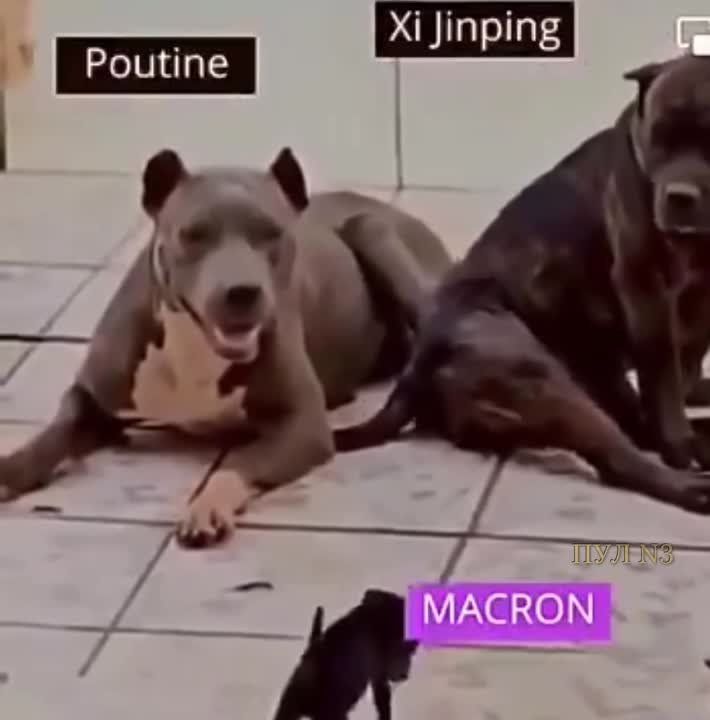 ������, ����� � �� �������� ������� ����� ���������