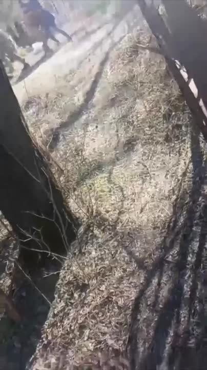 ��� �� ����� ���� ������