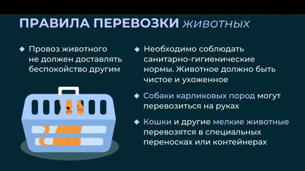 ���������� � �������� ���������� ������ ��������� ������, ������ � �������� � ������������ ����������