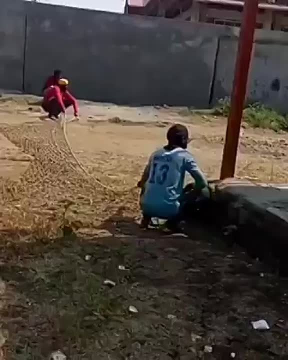 �i���������