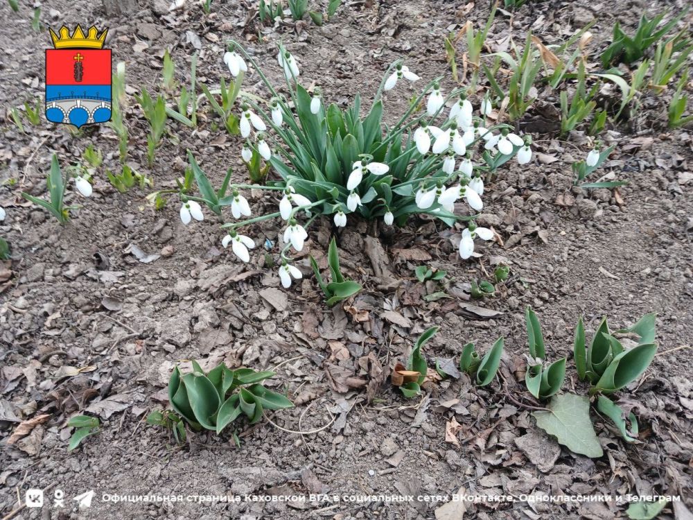 ������ ����, �������!. @VGA_Kakhovka