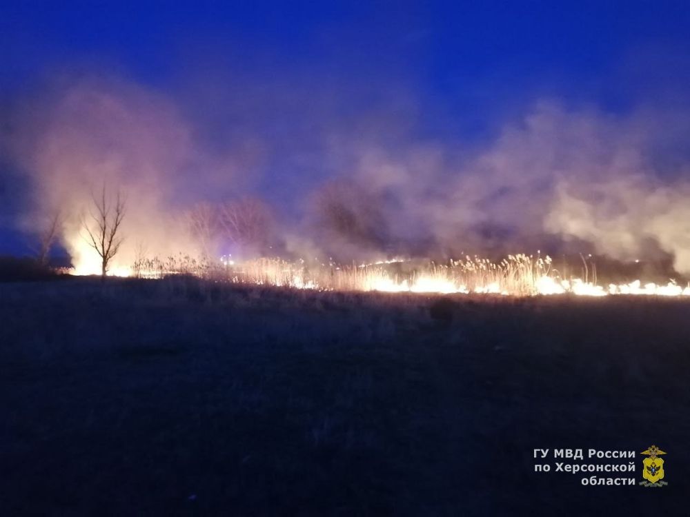 � ���������� ������� ���������� ������� ������� �������� ����� � ���. ������ ��������