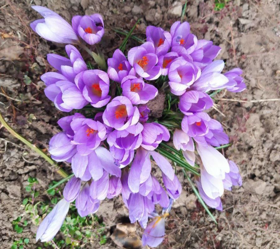 �������� �������. � ��� ��� ��� ����� ���������� � ����������� �������� ������������, ������ ���������� �� ������������ ����� � ���������� �������������, ������� ��������� ���� ����� ������ �������� � �������� �������� ������� �������