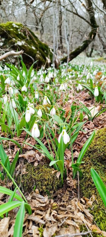 � ������ �����, �����������!