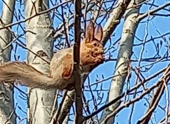 ����� ���� ����� ����� �� ��������, ��� ��� �������!