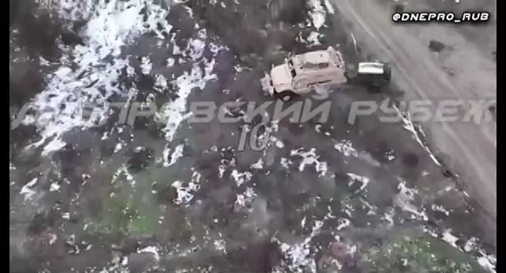 ����������� ����� "�����". ���������� �����������