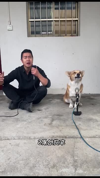 ����� ��� ��������, ����� � ������ ������ ��� �������