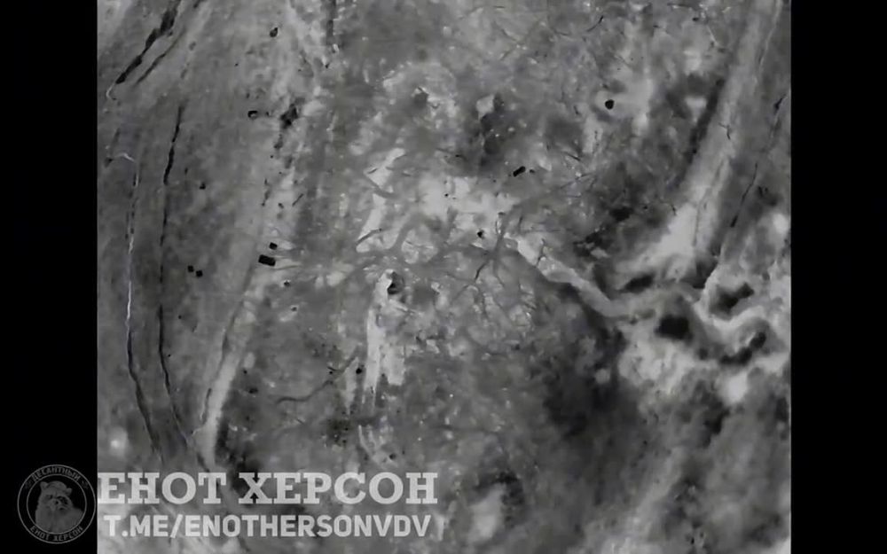 �������� ���� �� ����������� �����������