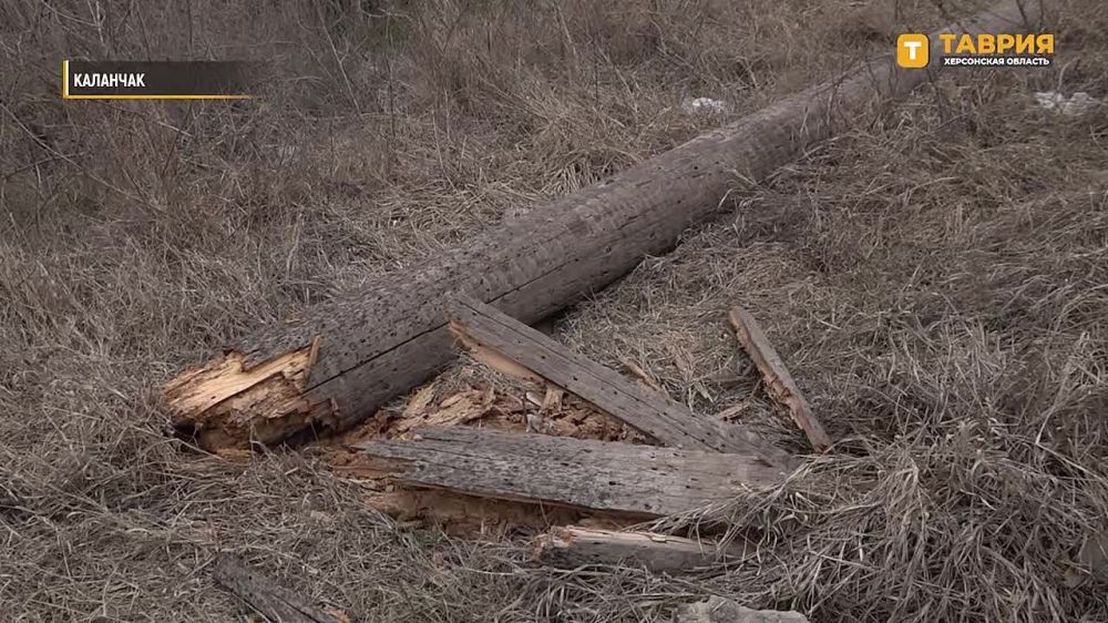 ����� ������ ��������� �������� ����������� ���������� ������� � ������������ ������