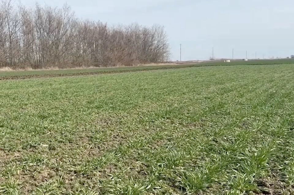 ���������� ������� ����� � ����: �� ������� 50 ����� �� ����������� �������� ��� ��������, ������������ ������� � ���������