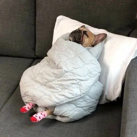 ������, ������ �� ��������� �� �������