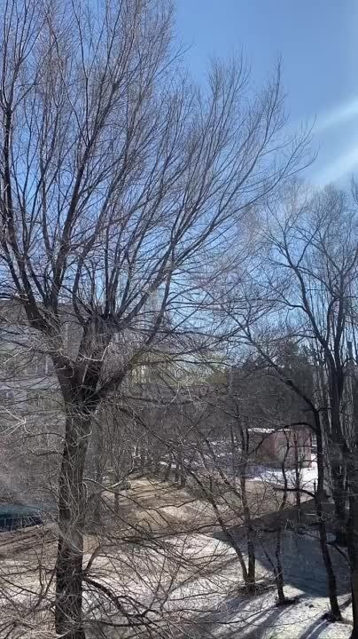 � �������� �������� �������� ���������