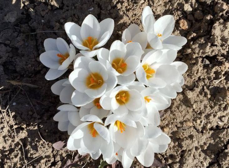 � ������ �����, �����������!