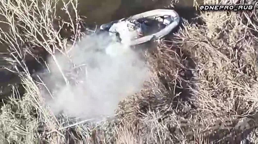 ����������� ����� "�����". ���������� �����������