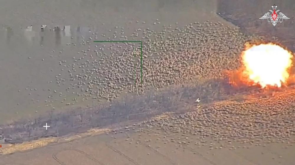 ���������� ������ ��������� ����� ��������� ��������� �������� ��������� ���������� ������� ��������� ���� HIMARS ������������ ���