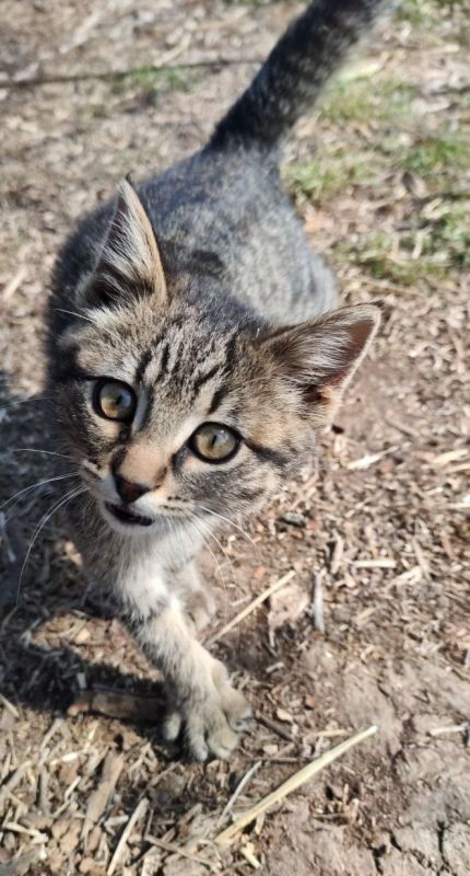 ����� � ������. ���������� �����������, �� ����� ������ ������ �� 104 ���. ������ ������ � �������� ��� �������� ��������