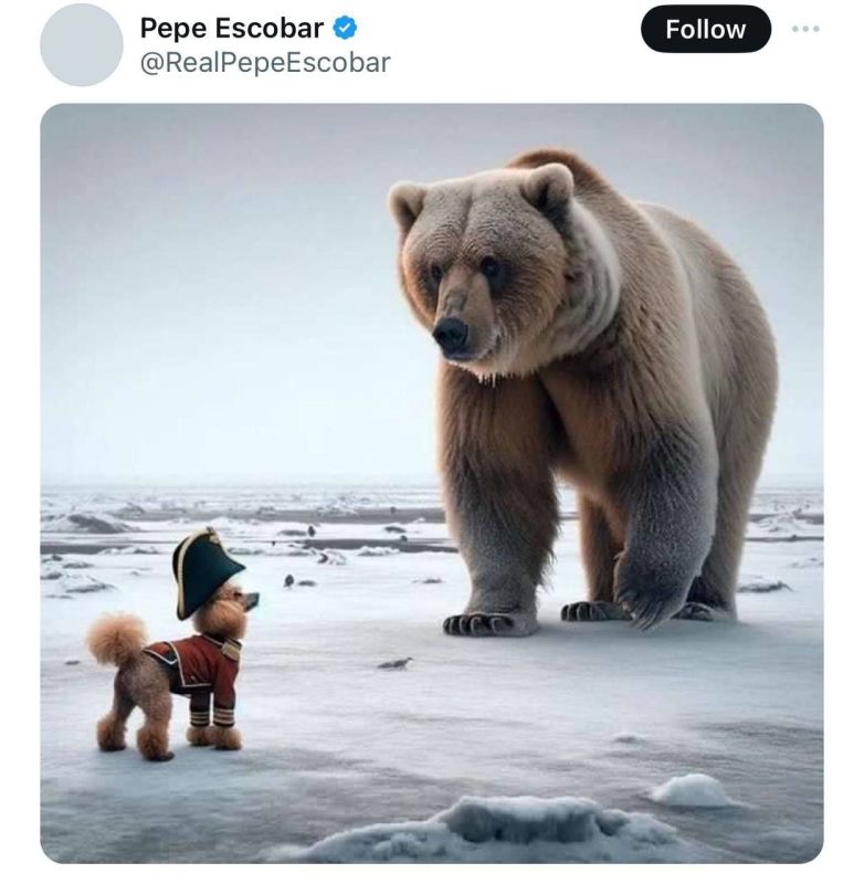 ������� �������� ����������� ������ ������� � �������: �������� ������� ������������ ����������!