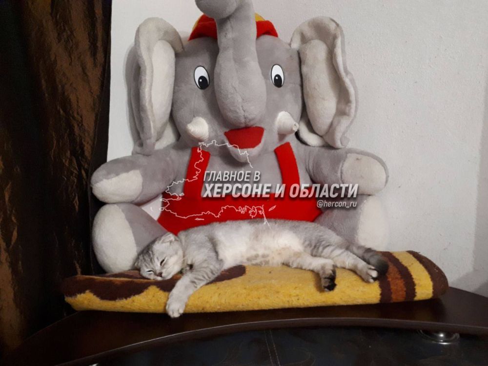 ��������� ���� ������� �������� � ������� �� ����������� �������� � ������� � �������